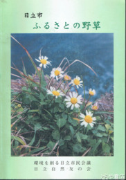 日立市ふるさとの野草