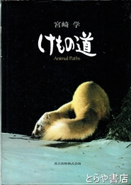 けもの道