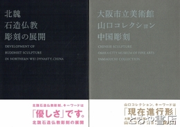 大阪市立美術館　山口コレクション　中国彫刻　中国彫刻　北魏石造仏教彫刻の展開　全２冊