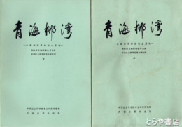 青海柳湾　楽都柳湾原始社会墓地　上・下