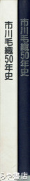 市川毛織５０年史