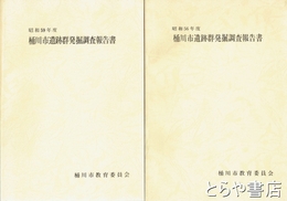 桶川市遺跡群発掘調査報告書　昭和５６年～５９年