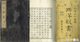 西洋新書　２編上下