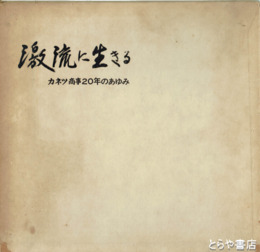 激流に生きる　カネツ商事２０年のあゆみ