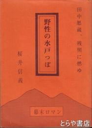 野性の水戸っぽ　田中愿蔵、残照に燃ゆ