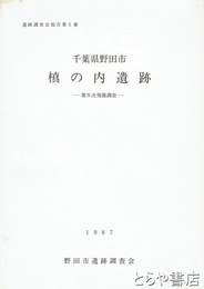 槙の内遺跡　千葉県野田市　第４次発掘調査