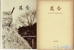 落合　新宿区落合遺跡調査報告