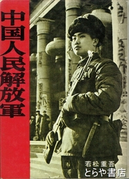 中国人民解放軍