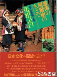 雲南の照葉樹のもとで