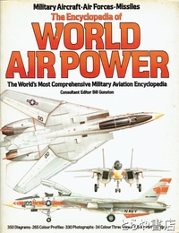 ＷＯＲＬＤ　ＡＩＲ　ＰＯＷＥＲ