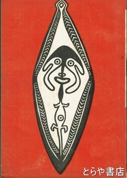 南溟の秘密　新占領地ミクロネシア諸島航海譚