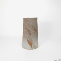 小林政美　花生