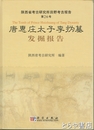 唐恵庄太子李為墓発掘報告　陝西省考古研究所田野考古報告２６号