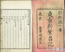 東京新繁昌記　初編