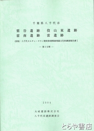 栗谷遺跡・役山東遺跡・雷南遺跡・雷遺跡　八千代カルチャータウン報告書１　第３分冊