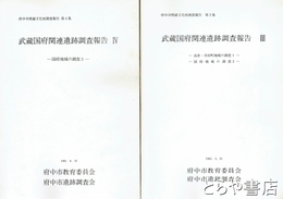 武蔵国府関連遺跡調査報告　３・４　国府地域の調査２・３