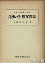 昆虫の生態写真集　飼育と観察の記録