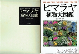 長沢英俊「天使の影」　水戸芸術館現代美術センター展覧会資料１６号