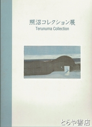 照沼コレクション展　清宮質文他