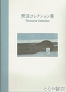 照沼コレクション展　清宮質文他