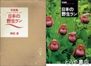日本の野生ラン