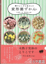 変形菌ずかん　森のふしぎな生きもの
