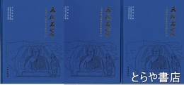 雲崗石窟山頂仏教寺院遺跡発掘報告　上・中・下　中文