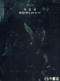 ドキュメント　川島清　彫刻の黙示　路傍・渕・水量
