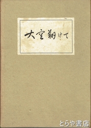 大空翔けて