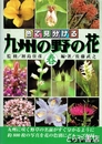 色で見分ける九州の野の花