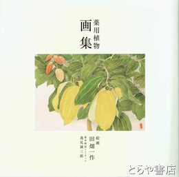 薬用植物画集