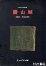 特別展　勝山城　氏家氏栄光の時代