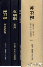 赤羽根　古墳前・中期の集落跡