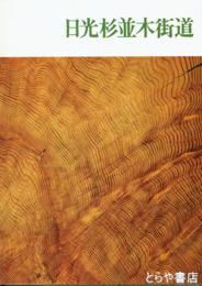 日光杉並木街道