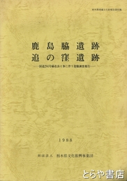 鹿島脇遺跡　追の窪遺跡　国道２９４号線改良工事に伴う発掘調査報告