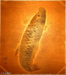 郡司硯田色紙　「鯉」共袋