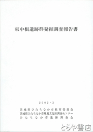 東中根遺跡群発掘調査報告書