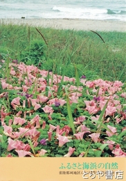 ふるさと海浜の自然　常陸那珂地区における生物調査報告書