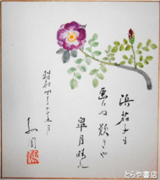 関孤円色紙　「浜茄子も画けぬ嘆きや皐月晴れ」