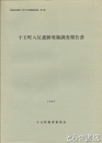 十王町八反遺跡発掘調査報告書