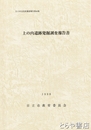上の内遺跡発掘調査報告書