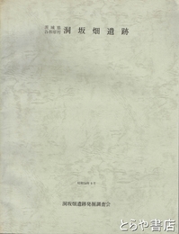 茨城県谷和原村　洞坂畑遺跡