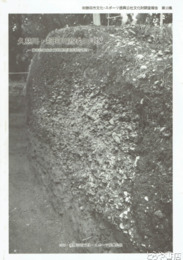 久慈川・那珂川流域の貝塚　藤本弥城先史資料整理調査報告書８