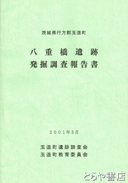 八重橋遺跡発掘調査報告書