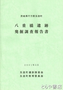 八重橋遺跡発掘調査報告書