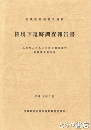 権現下遺跡調査報告書