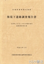 権現下遺跡調査報告書