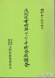 浅間塚古墳群２・３号墳発掘調査