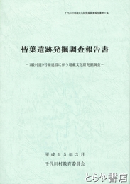 皆葉遺跡発掘調査報告書