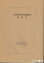 大沼経塚群発掘調査報告書